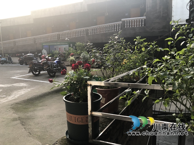 龙马潭区红星街道金井湾社区开展“我为群众办实事”主题党日活动(图5)