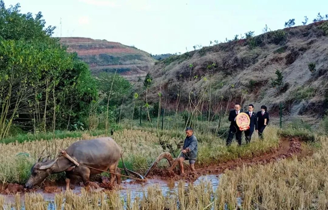 感受公平正义｜橘子林里的地界纠纷(图2)