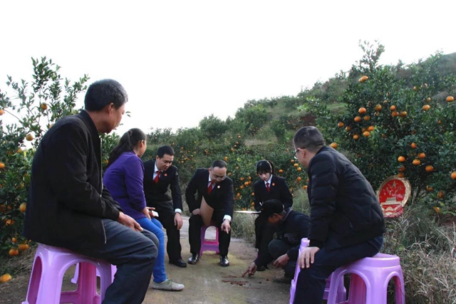 感受公平正义｜橘子林里的地界纠纷(图6)