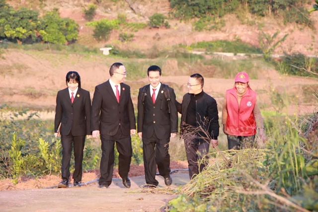 感受公平正义｜橘子林里的地界纠纷(图7)