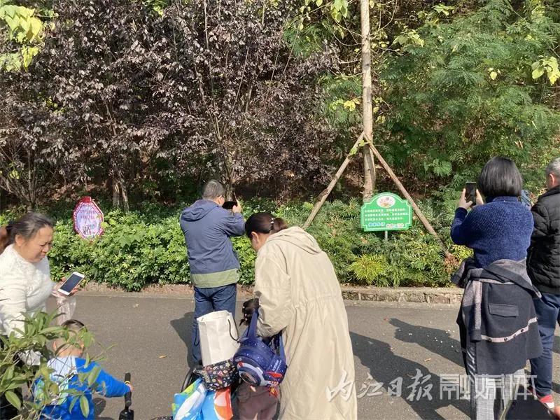 吓一跳！内江城区松山公园惊现一只小“魔王”——(图7)