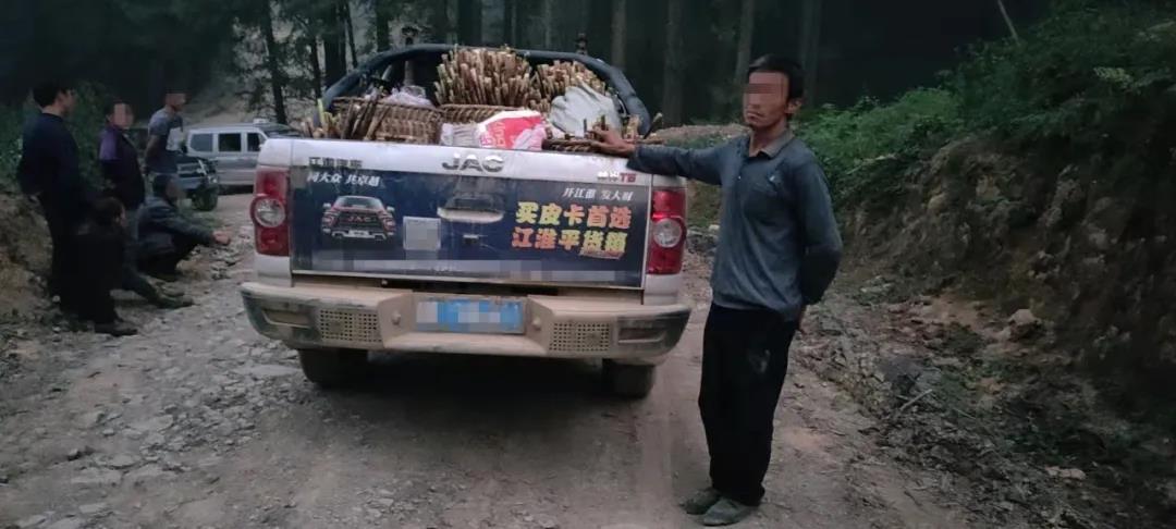 古蔺男子开皮卡车偷竹笋被逮个正着！(图4)