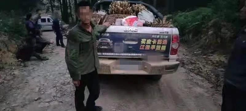 古蔺男子开皮卡车偷竹笋被逮个正着！(图3)