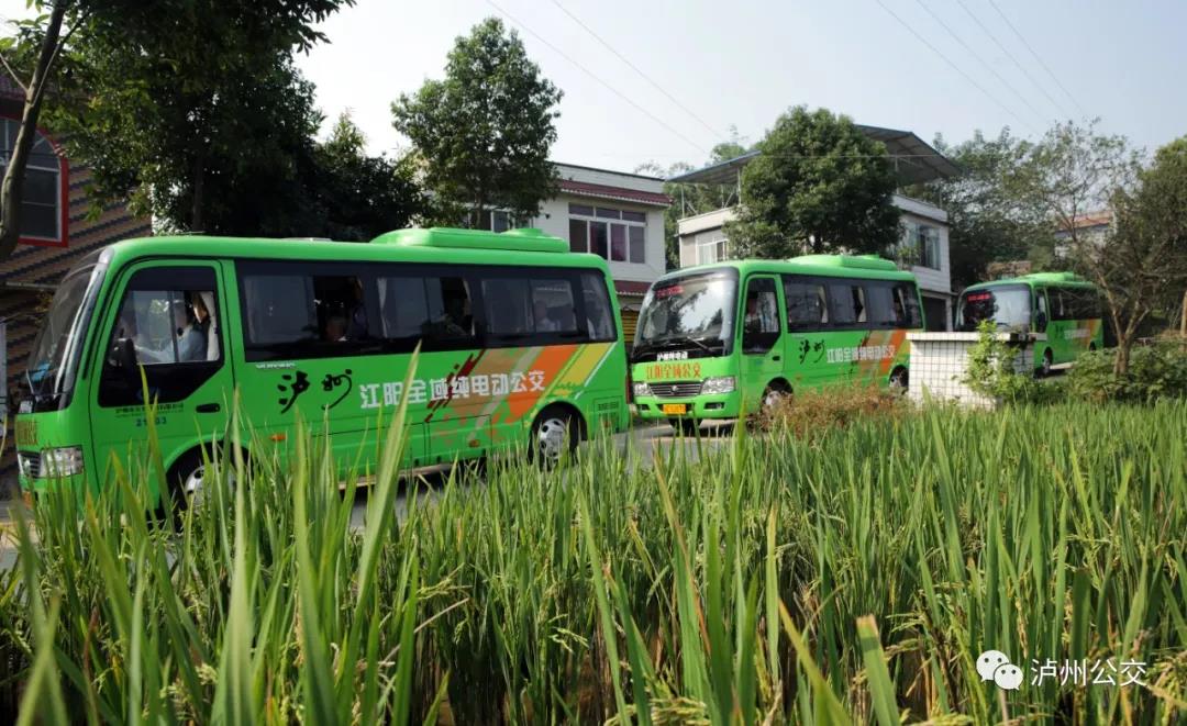 创成公交都市|年减少碳排放量3.2万吨,泸州绿色公交干得漂亮!(图2) 创成公交都市|年减少碳排放量3.2万吨,泸州绿色公交干得漂亮!(图2)