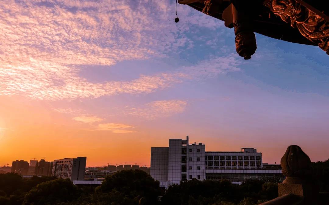 七十载风华正茂|西南医科大学校园颜值爆表！(图5)