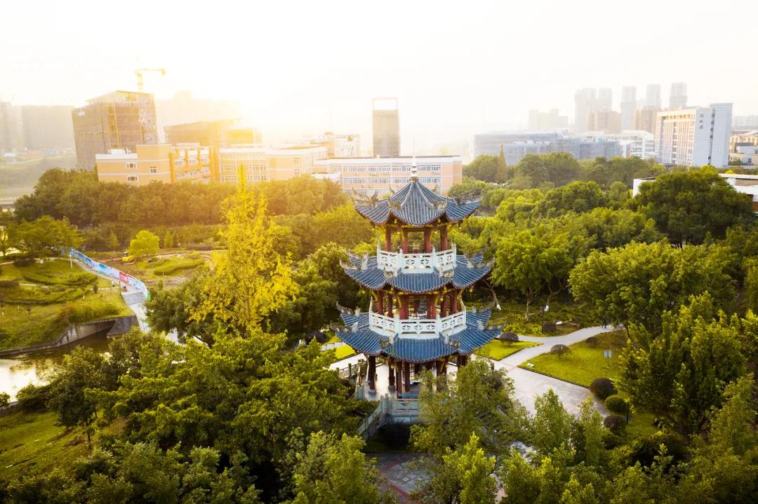 七十载风华正茂|西南医科大学校园颜值爆表！(图11)