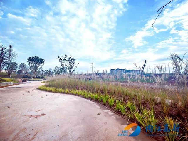 内江高新再添新公园！效果图曝光，超惊艳！(图3)