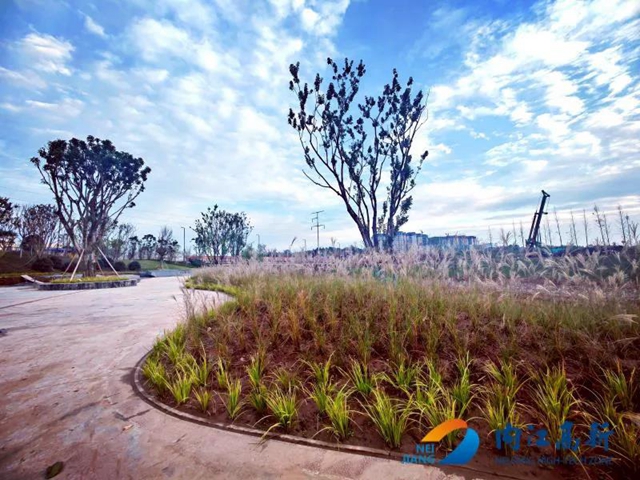 内江高新再添新公园！效果图曝光，超惊艳！(图5)