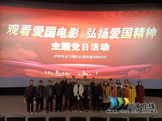 龙马潭区红星街道双桂社区开展“观看爱国电影  弘扬爱国精神”主题党日活动(图3)