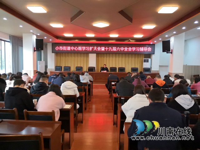 龙马潭区小市街道组织学习党的十九届六中全会精神(图1)
