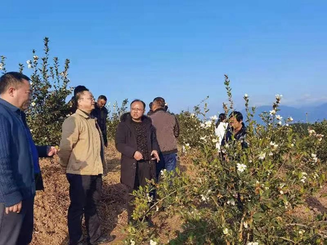 省林草局督导检查泸州市退耕还林工程建设工作(图2)