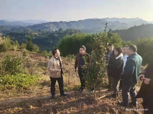 省林草局督导检查泸州市退耕还林工程建设工作(图3)