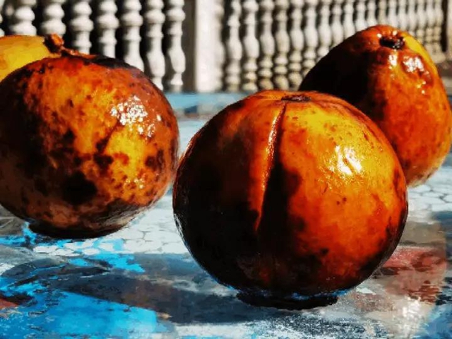 重达一斤！宜宾这个地方种出了“巨型果”！村民高兴惨了……(图4)