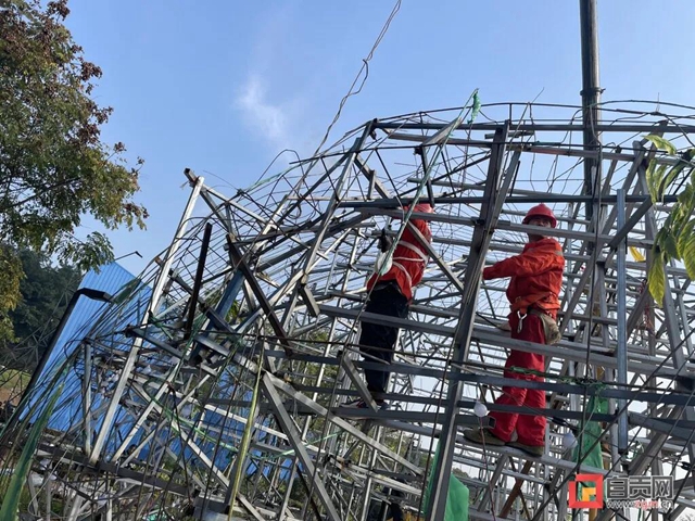 快看!自贡灯会网红灯组《生命之树》搬新家啦!(图3) 快看!自贡灯会网红灯组《生命之树》搬新家啦!(图3)