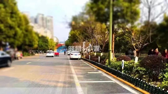 注意！12月11日起，隆昌城区这条路的停车有大变化