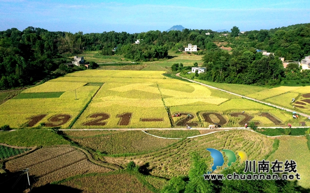 合江县：推进城乡深度融合，谱写乡村振兴发展新篇章(图2)
