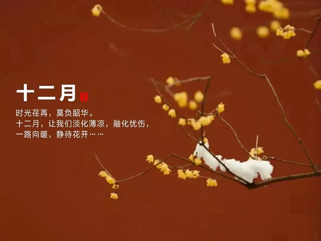 西南医大中医院今年最后8次免费看病机会，错过就没啦！(图2)