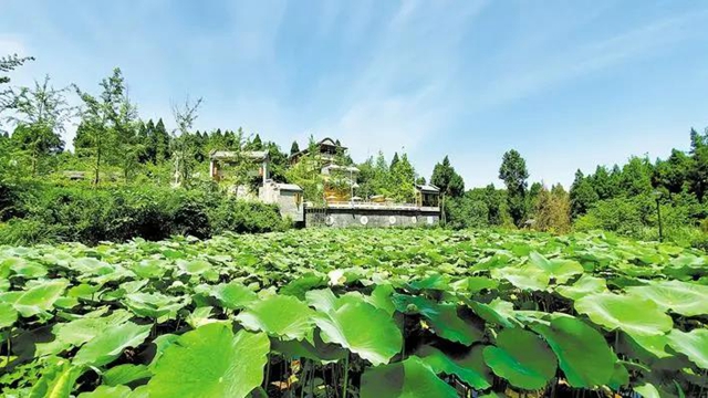 四川唯一!内江这家民宿拟被评为乙级旅游民宿(图3) 四川唯一!内江这家民宿拟被评为乙级旅游民宿(图3)