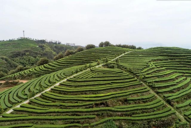 2021年中国美丽休闲乡村揭晓，泸州这个村榜上有名(图1)
