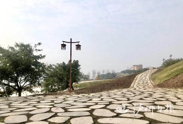 规划多个景点!泸州又一座滨江公园来了(图2) 规划多个景点!泸州又一座滨江公园来了(图2)