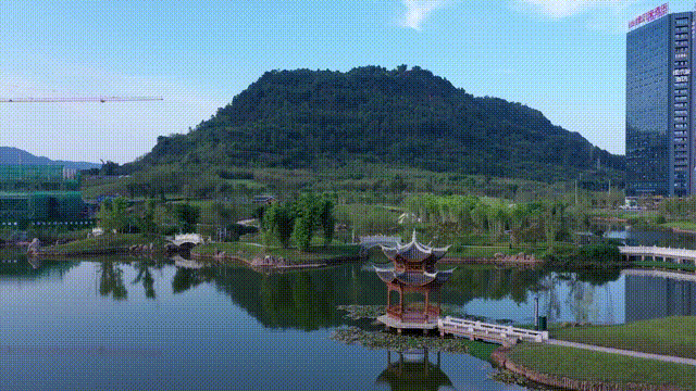 宜宾竹文化博物馆12月30日前投用！竹文化生态公园建设进入“冲刺期”