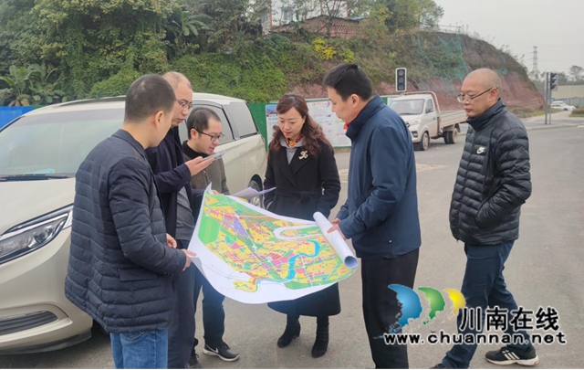 丁跃萍调研龙马潭区自然资源和规划工作(图1)