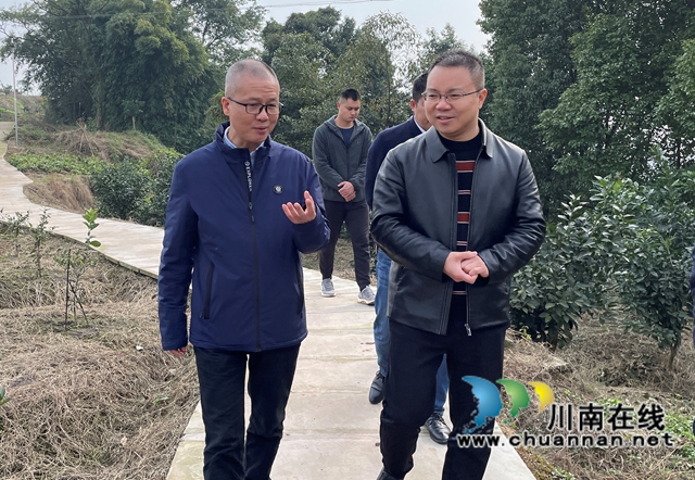 泸县政协党组书记吴雪松到百和镇调研经济社会发展情况(图4)