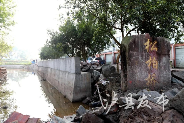 快来看！泸县这座桥的最新进展来了(图1)