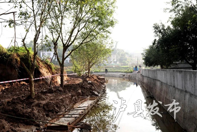 快来看！泸县这座桥的最新进展来了(图4)