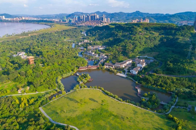 泸州两区县提前完成今年退耕还林补助资金兑付工作(图1)