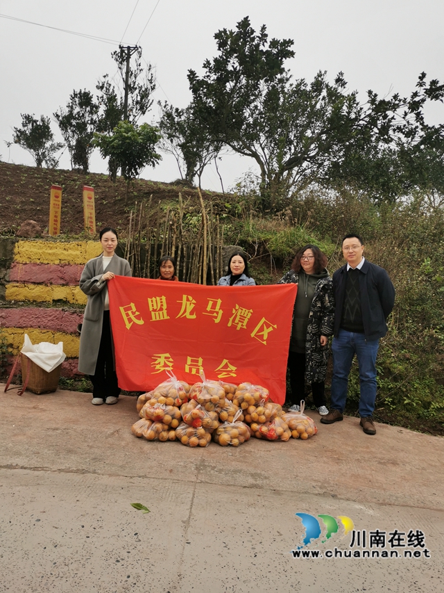 民盟泸州市龙马潭区基层委员会：消费扶贫助力乡村振兴(图2)