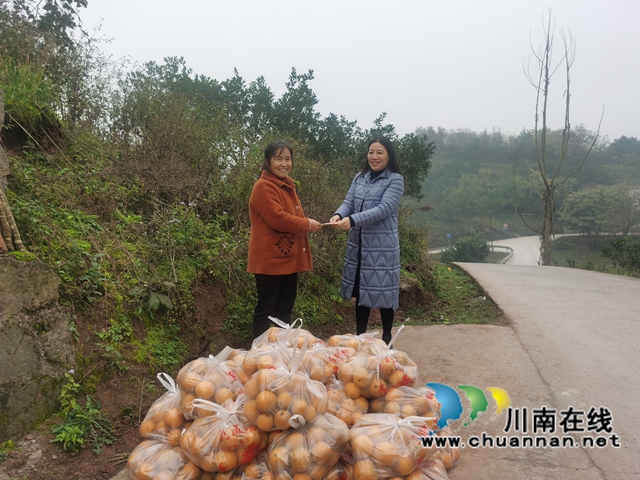 民盟泸州市龙马潭区基层委员会：消费扶贫助力乡村振兴(图1)