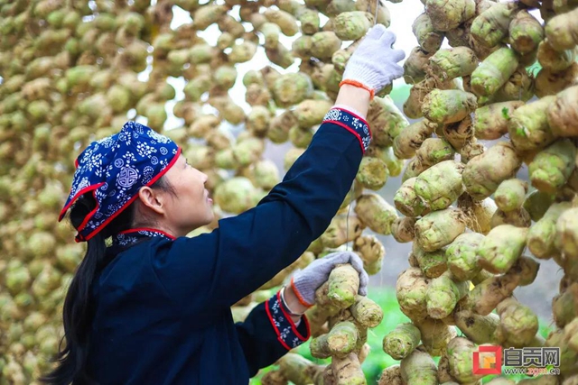 厉害了!自贡这条网红长廊销售产值预计近2亿(图3) 厉害了!自贡这条网红长廊销售产值预计近2亿(图3)