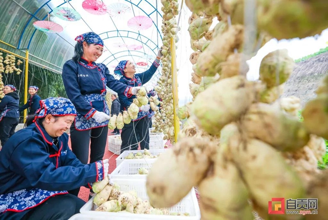 厉害了!自贡这条网红长廊销售产值预计近2亿(图2) 厉害了!自贡这条网红长廊销售产值预计近2亿(图2)