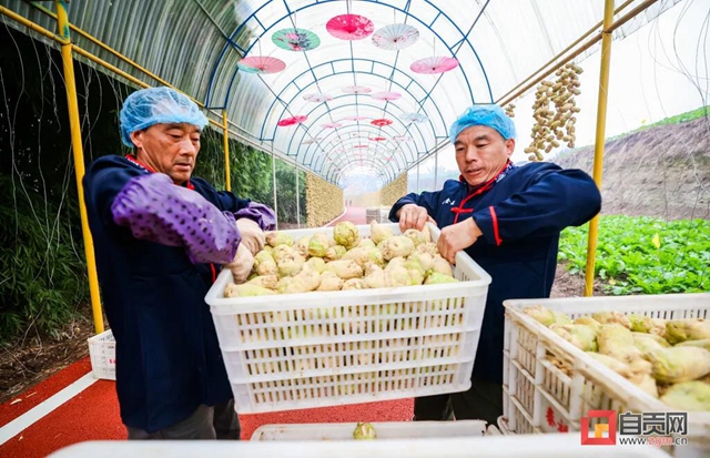 厉害了!自贡这条网红长廊销售产值预计近2亿(图5) 厉害了!自贡这条网红长廊销售产值预计近2亿(图5)