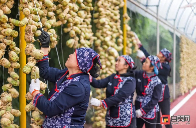 厉害了!自贡这条网红长廊销售产值预计近2亿(图4) 厉害了!自贡这条网红长廊销售产值预计近2亿(图4)