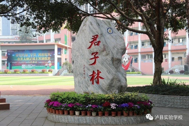 泸县实验学校:再创佳绩,勇夺第一!(图5) 泸县实验学校:再创佳绩,勇夺第一!(图5)