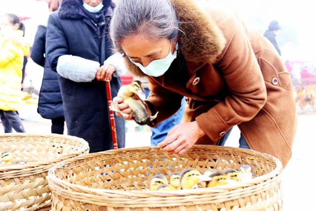 有一种逛街:赶场,你好久没去了?!(图17) 有一种逛街:赶场,你好久没去了?!(图17)