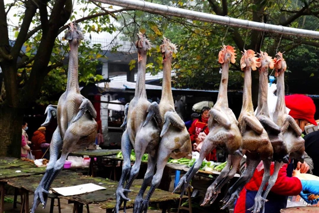 有一种逛街:赶场,你好久没去了?!(图19) 有一种逛街:赶场,你好久没去了?!(图19)