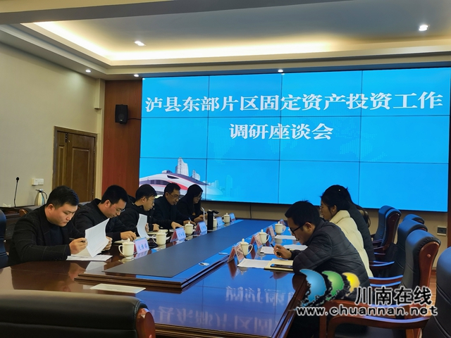 泸县东部片区召开固定资产投资工作调研座谈会(图1)