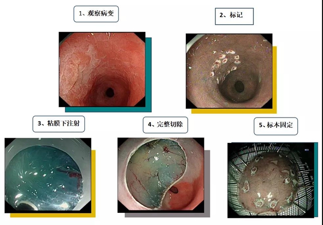 【注意】脾胃·风湿免疫病科有新家了！(图11)
