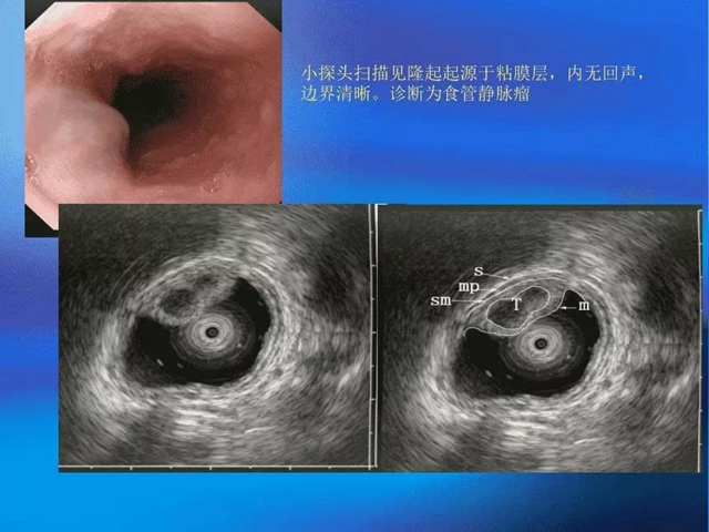 【注意】脾胃·风湿免疫病科有新家了！(图12)