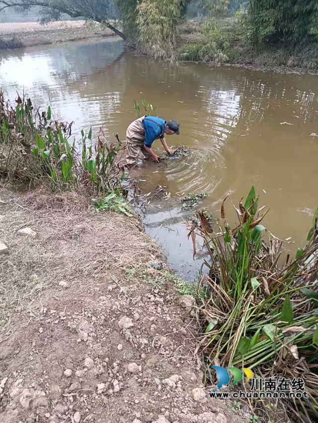 泸县云龙镇:清理河道卫生,共享美丽河流(图1) 泸县云龙镇:清理河道卫生,共享美丽河流(图1)