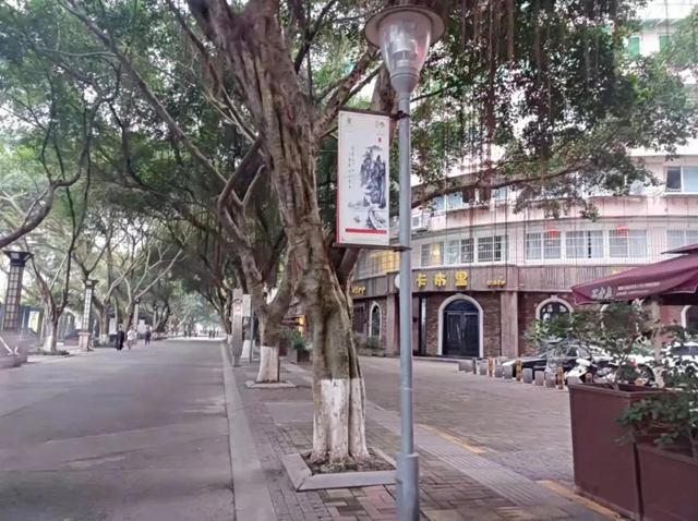 泸州滨江路庭院灯恢复重建项目动工了！(图2)