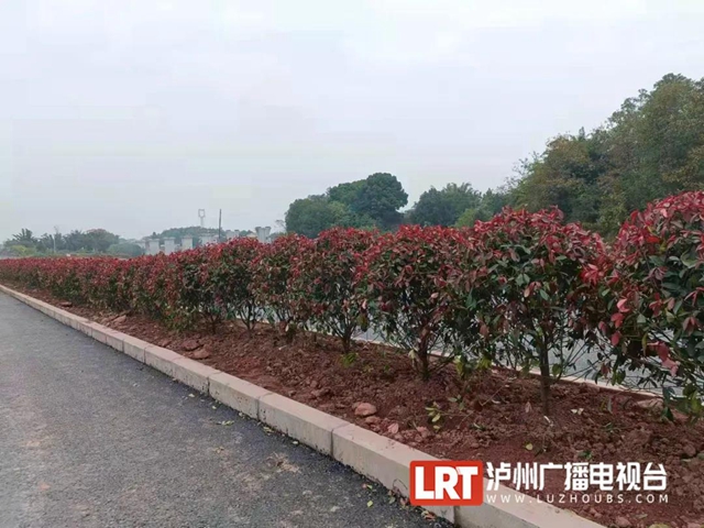 最新消息！立石⇌特兴段快速通道春节前半幅通车(图3)