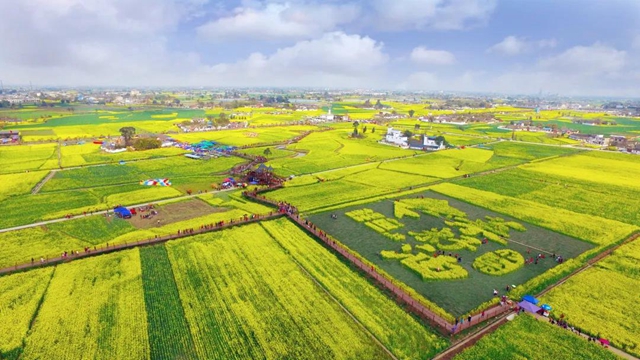 四川实现面积单产总产“三增”！泸州市农业农村局拟获全国粮食生产先进集体表彰(图1)