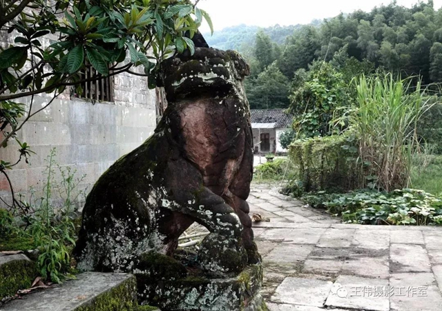 【我的乡愁】合江：高山下的陈氏祠堂(图10)