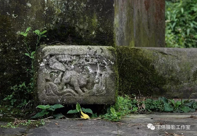 【我的乡愁】合江：高山下的陈氏祠堂(图17)