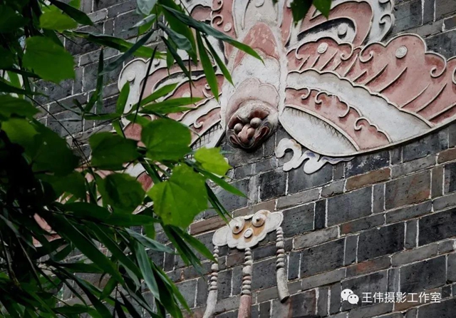 【我的乡愁】合江：高山下的陈氏祠堂(图19)