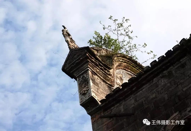 【我的乡愁】合江：高山下的陈氏祠堂(图20)